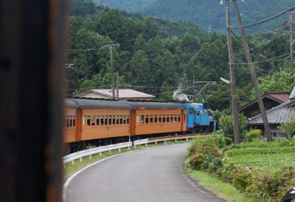 カーブで見えるトーマス