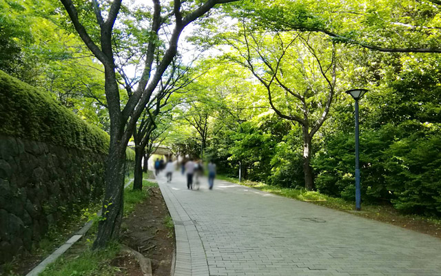 道なりに進んでいきます。新緑が気持ち良いですね（＾＾）