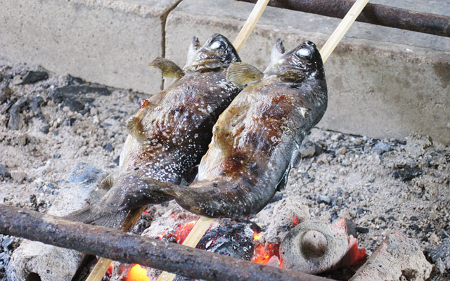 ヤマメを2匹釣って塩焼きにしてもらって食べることにしました